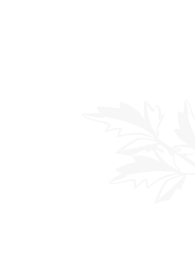 世界杯官方下注